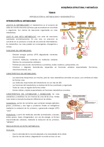 TEMA-8.pdf