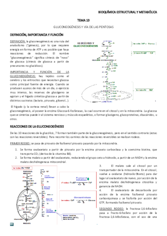 TEMA-10.pdf