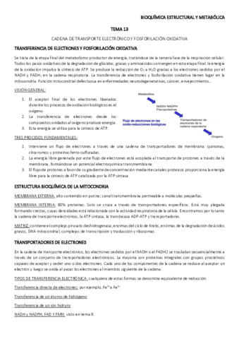 TEMA-13.pdf