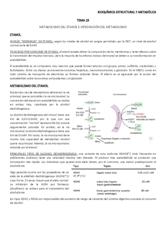 TEMA-19.pdf