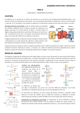 TEMA-16.pdf