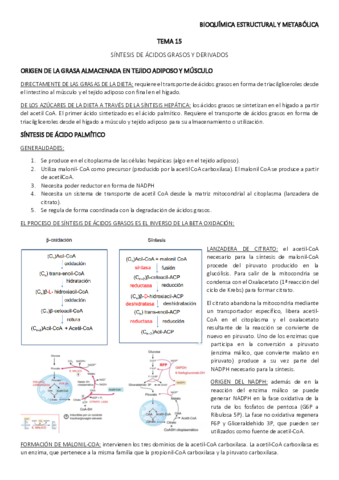 TEMA-15.pdf