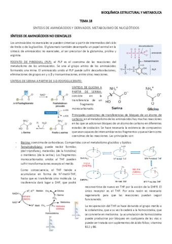 TEMA-18.pdf