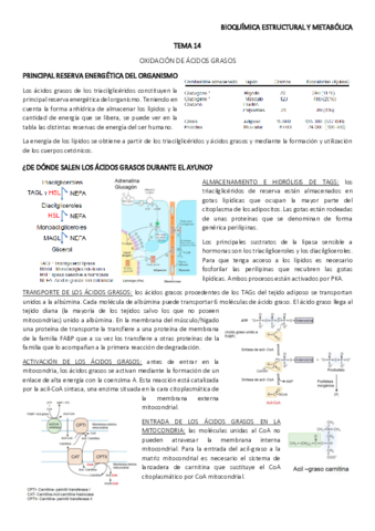 TEMA-14.pdf