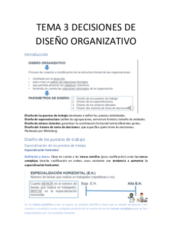 TEMA-3-DECISIONES-DE-DISENO-ORGANIZATIVO.pdf
