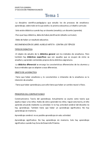 TEMAS DIDÁCTICA GENERAL APUNTES.pdf