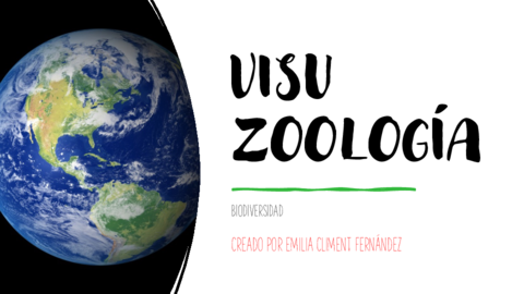 VISU-Zoologia.pdf