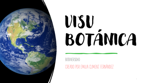 VISU-Botanica.pdf