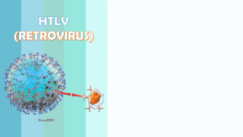 HTLV-Retrovirus.pdf