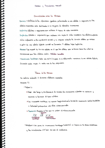 Meisis-y-Reproduccion-Sexual.pdf