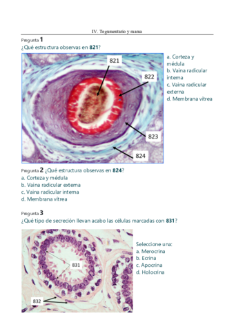RECOPILACION-EXAMENES-PRACTICAS-parte-2.pdf