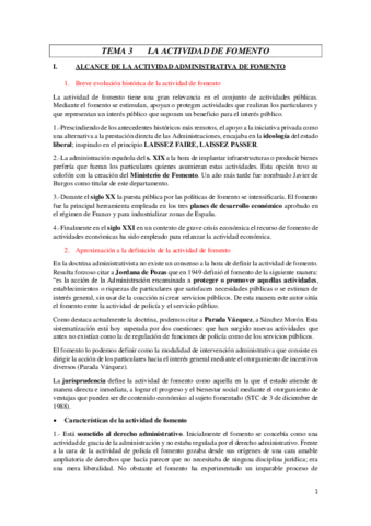 LECCION-3-ADMTVO-III.pdf