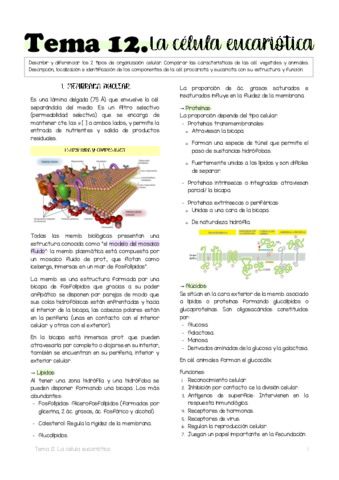 Tema-12.pdf
