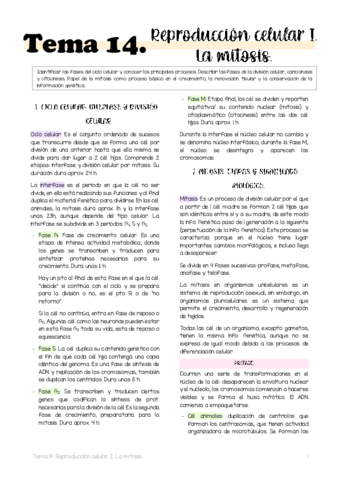Tema-14.pdf