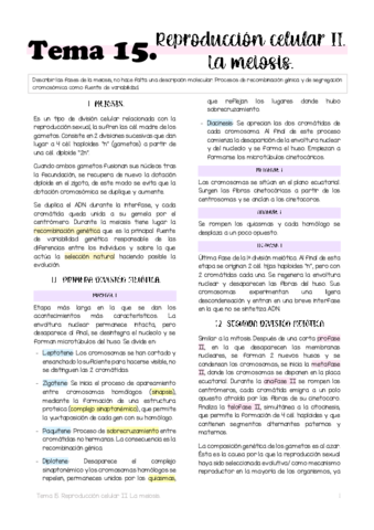 Tema-15.pdf