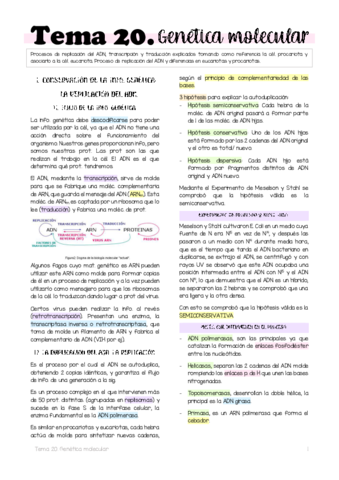 Tema-20.pdf