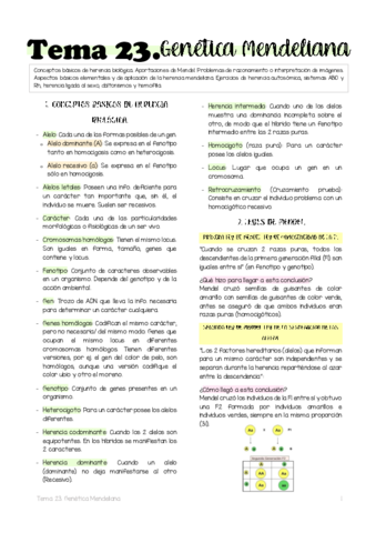 Tema-23.pdf