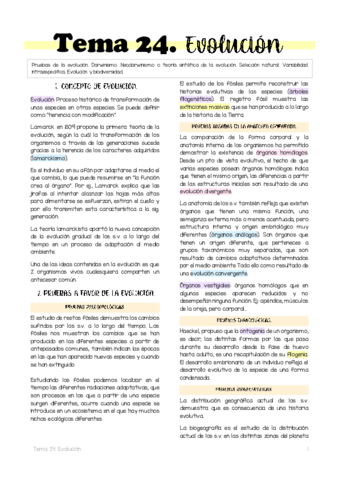 Tema-24.pdf