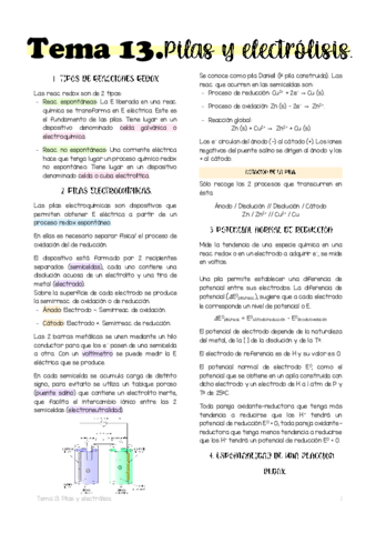 Tema-13.pdf