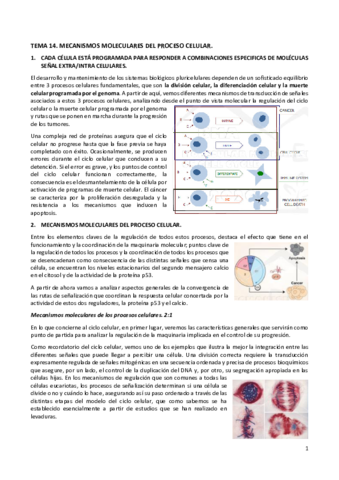 TEMA14biomol.pdf