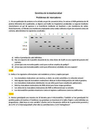 PROBLEMASdemarcadores.pdf
