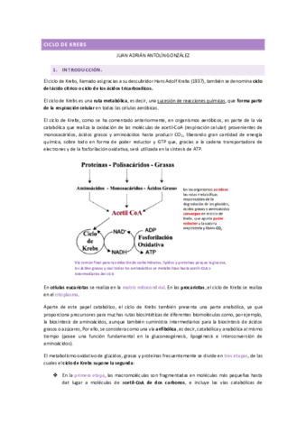 ciclo-de-Krebs-.pdf