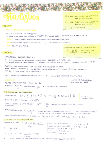 Estadistica-Apuntes-de-Examen.pdf