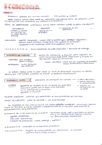 Economia-Apuntes-de-Examen.pdf