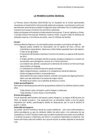 THE-FIRST-WORLD-WAR.pdf