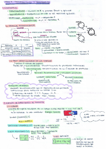 TEMA-5-EFQ.pdf