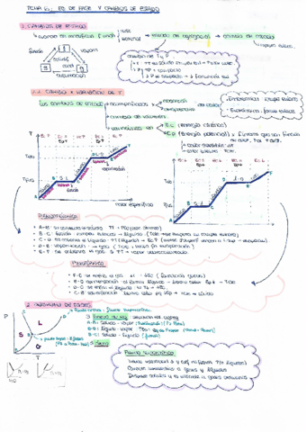 TEMA-6-EFQ-3.pdf