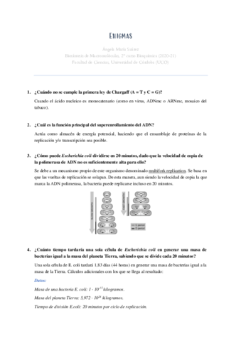 Enigmas.pdf