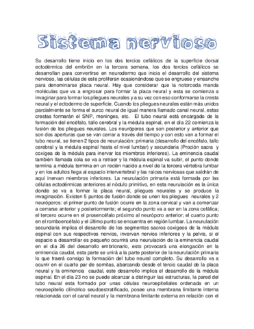 Sistema-nervioso.pdf