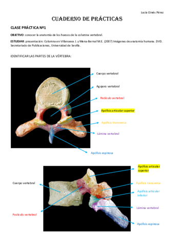 Cuaderno-de-practicas-Anatomia-Humana-Especifica.pdf