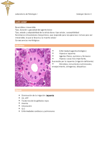 Laboratorio-lesion-celular.pdf