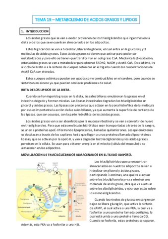 TEMA-19.pdf