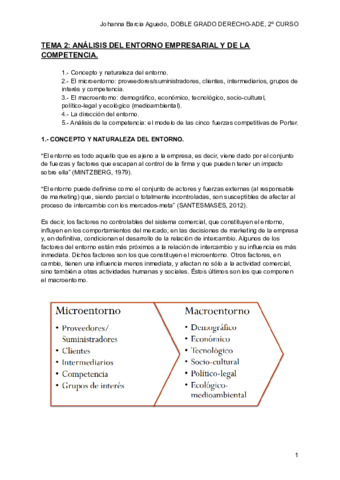 TEMA-2.pdf