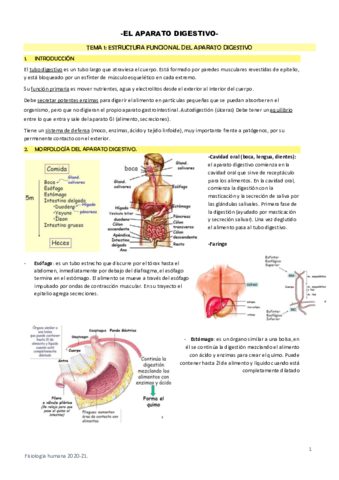 V-Fisiologia-ap.pdf