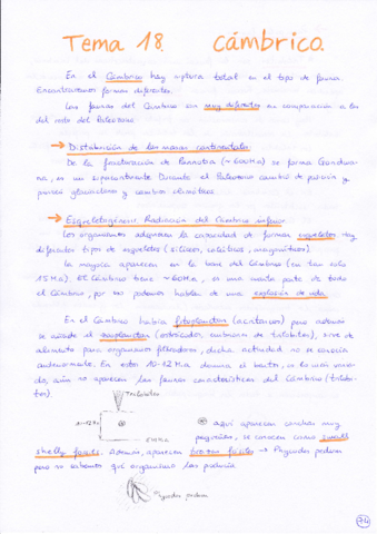Tema 18 Cámbrico.pdf