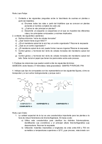 Examen-FVII-julio.pdf
