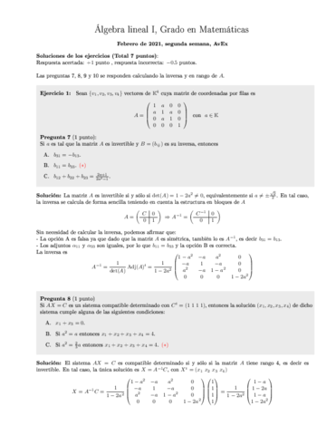 Febrero2021AvexS2solucion.pdf