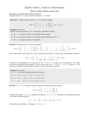 Febrero2021AvexS1solucion.pdf