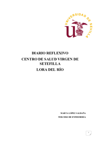 DIARIO-REFLEXIVO-PDF.pdf