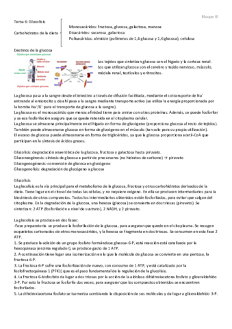 Tema 6 - Glucolisis.pdf