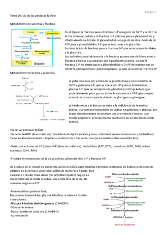 Tema 10 - Vía de las pentosa fosfato.pdf