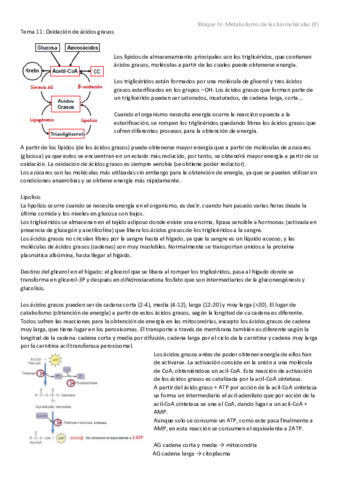 Tema 11 - Oxidación de ácidos grasos.pdf