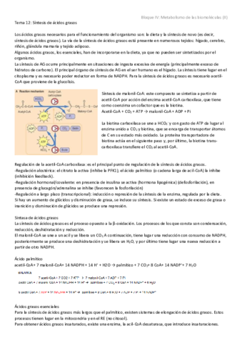 Tema 12 - Síntesis de ácidos grasos.pdf