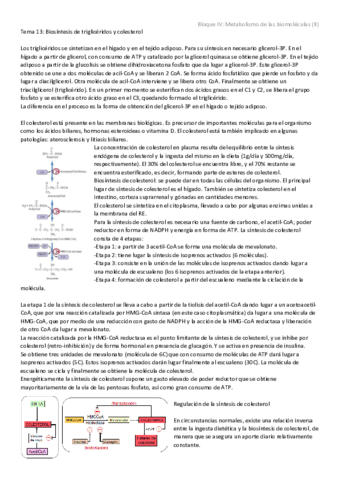 Tema 13 - Biosíntesis de triglicéridos y colesterol.pdf