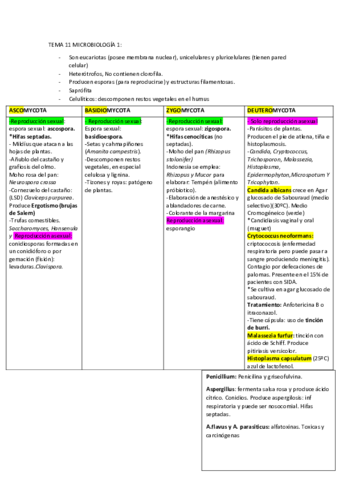 TEMA-11-MICROBIOLOGIA-1.pdf