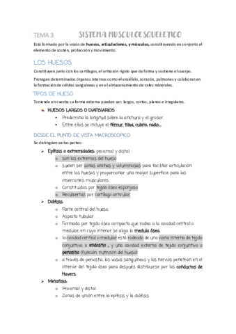 TEMA-3-SISTEMA-MUSCULOESQUELETICO.pdf